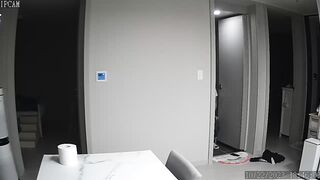ipcam3-2162