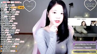 팬더 도아 korean bj