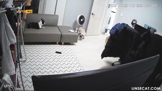 신작IP ✨ 게임하는 남친 유혹하기. ipcam korean porn