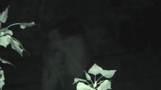 FU10 Night Crawling 299-301 ipcam 2