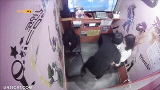 신작IP ✨ 코인노래방_중년불륜 korean porn ipcam vip