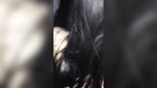멀티룸공공장소야노섹 몰래섹스 모음 [사진+영상 81개파일] korean porn vip 3 (1)