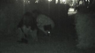 FU10 Night Crawling 290-292 ipcam 3