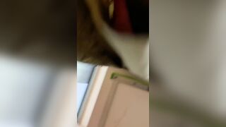 예전에 주웠던 업스 korean porn ipcam (3)
