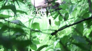 Forest Toilet 17-20 ipcam 2