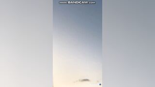 아프리카 빤스노출 korean porn vip korean bj