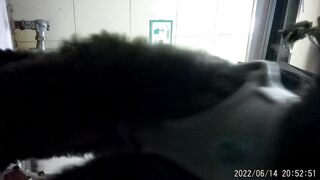 chn26033111 china ipcam (5)