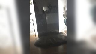 Asa Akira Nude Mirror Masturbation Onlyfans Video Leaked - Leak