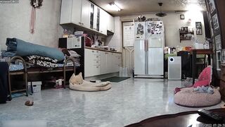 航空客室乗務員の日常 The Daily Life of an Airline Flight Attendant korean porn vip ipcam 1