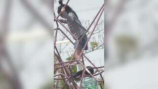 s低ちゃん和 レア voyeur jp 180526