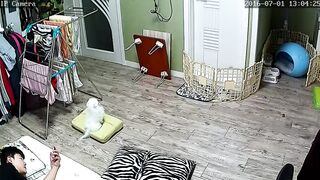IP귀요미커플 korean porn vip 003